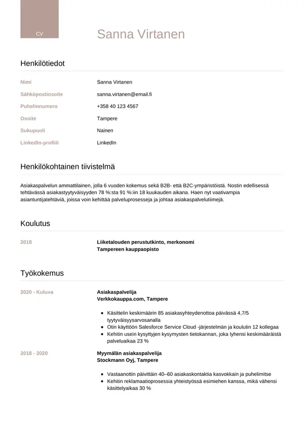 CV-pohja — Tyyli 6