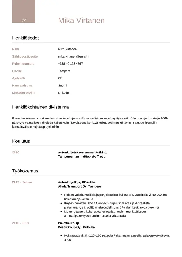 CV-pohja — Tyyli 6