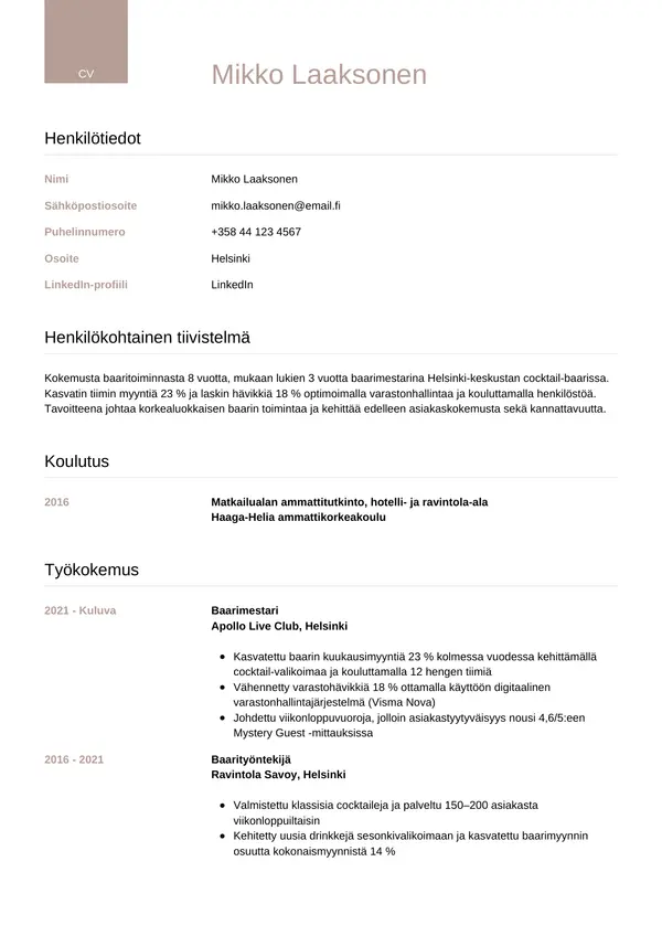 CV-pohja — Tyyli 6