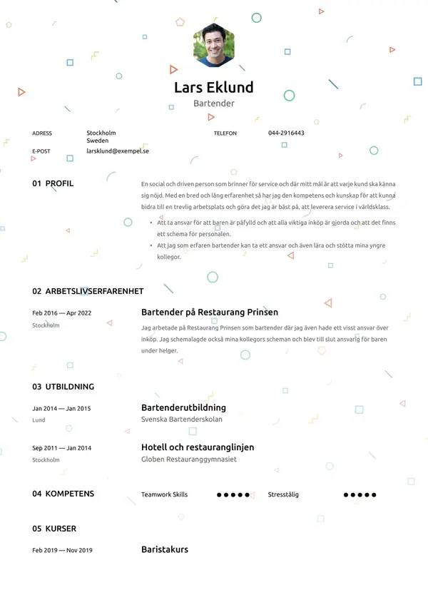 Bartender CV-pohja — Tyyli 10