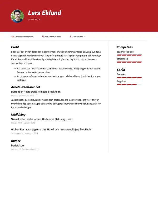 Bartender CV-pohja — Tyyli 12
