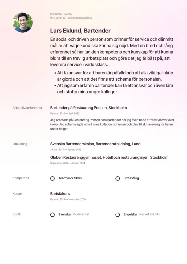 Bartender CV-pohja — Tyyli 4