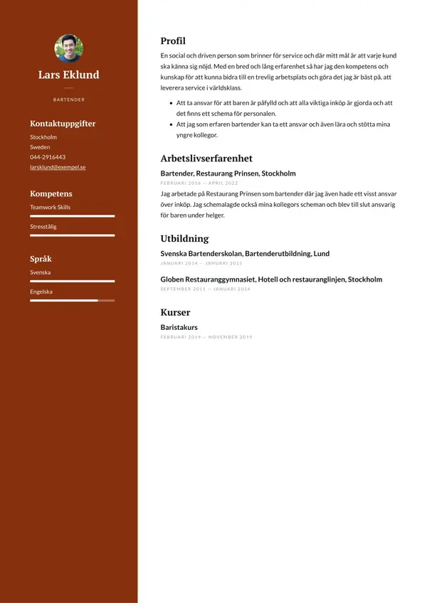 Bartender CV-pohja — Tyyli 5