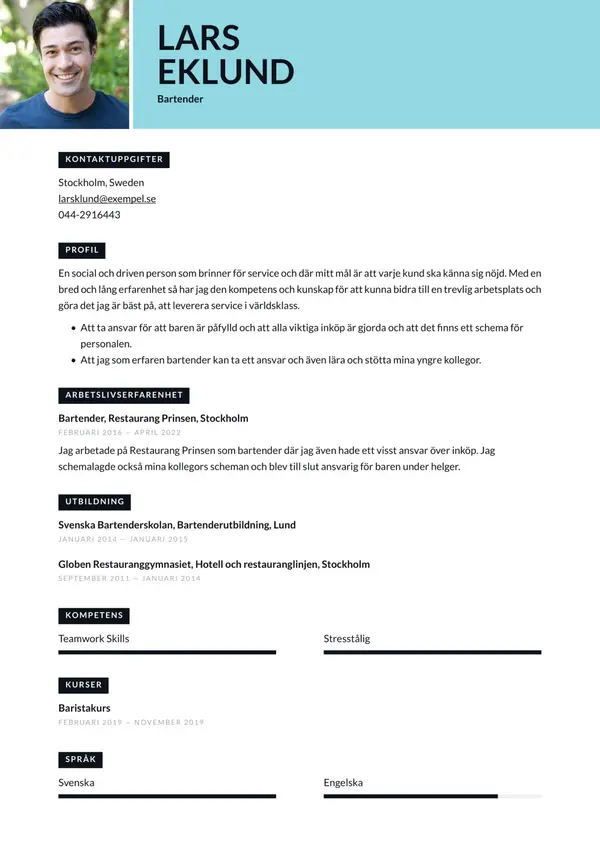 Bartender CV-pohja — Tyyli 6