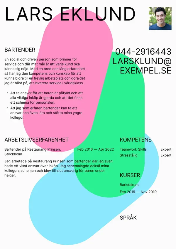 Bartender CV-pohja — Tyyli 8