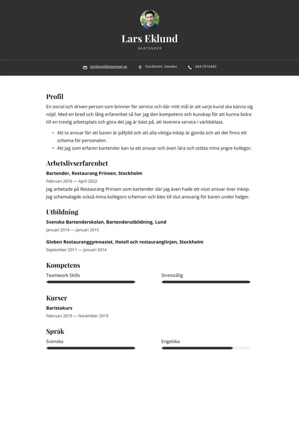 Bartender CV-pohja — Tyyli 9