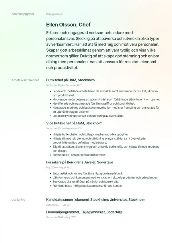 Chef CV-pohja — Tyyli 5