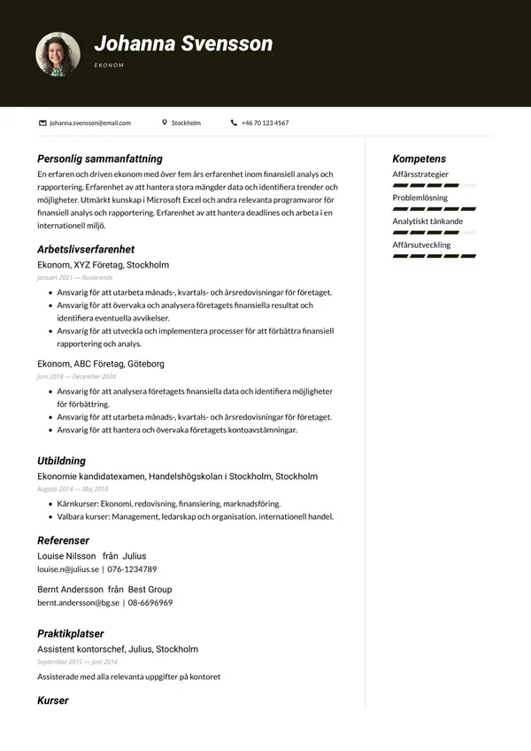 Ekonom CV-pohja — Tyyli 12