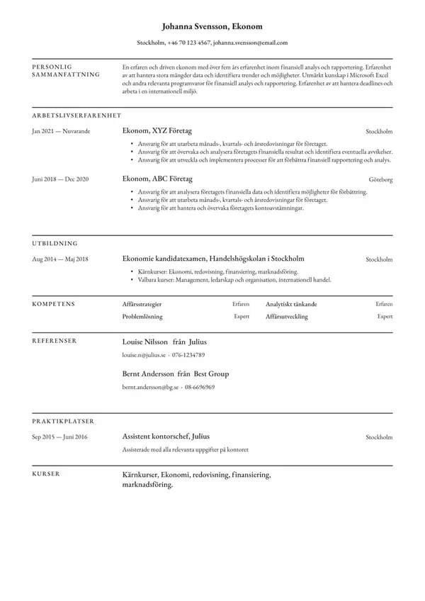 Ekonom CV-pohja — Tyyli 2