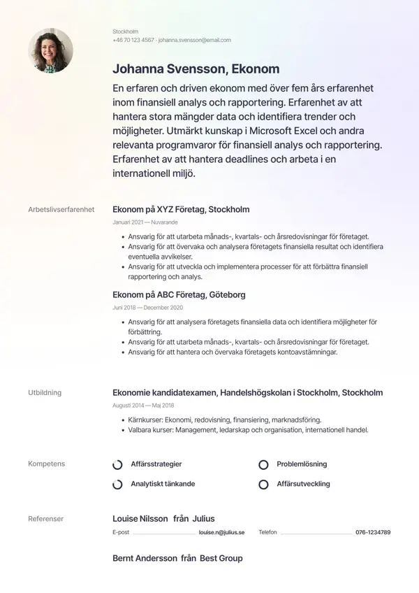 Ekonom CV-pohja — Tyyli 6