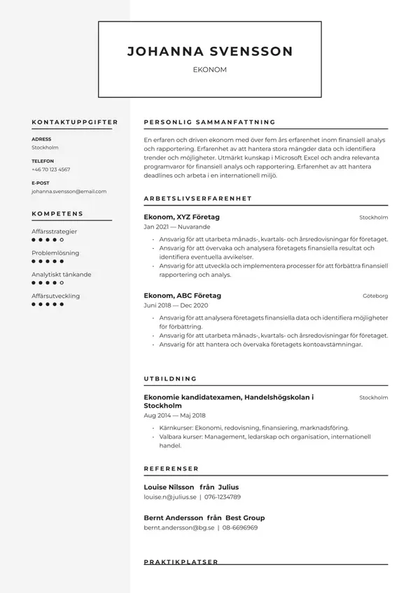 Ekonom CV-pohja — Tyyli 7