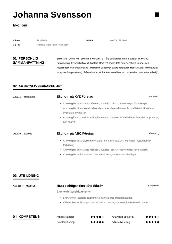 Ekonom CV-pohja — Tyyli 8