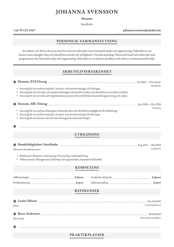 Ekonom CV-pohja — Tyyli 9