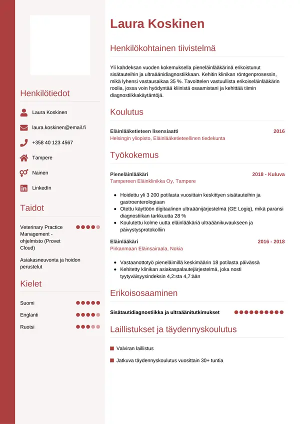 Elainlaakari CV-pohja — Tyyli 10