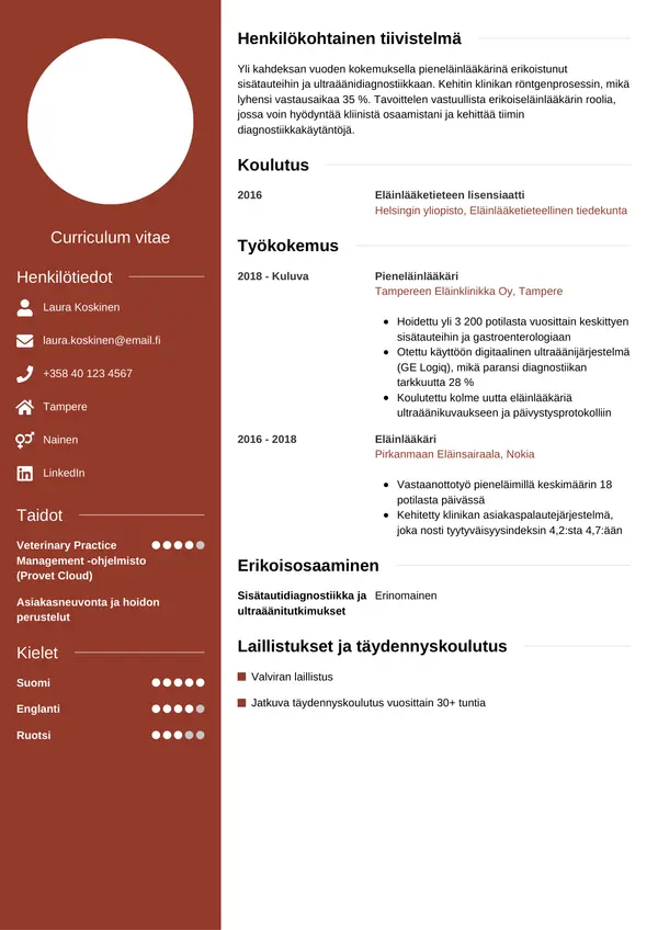 CV template Tyyli 5