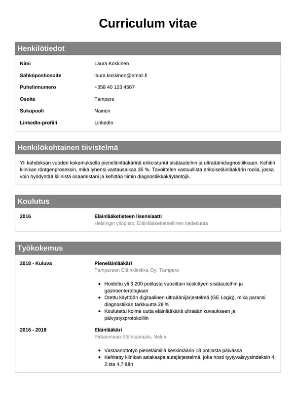 CV-pohja — Tyyli 7