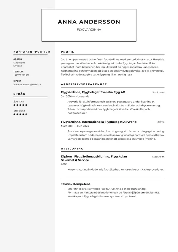 Flygvardinna CV-pohja — Tyyli 5