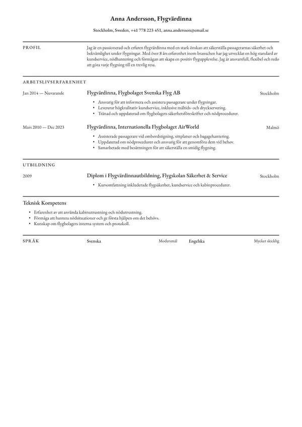 Flygvardinna CV-pohja — Tyyli 6