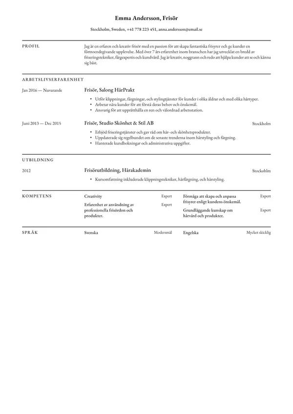 Frisor CV-pohja — Tyyli 3