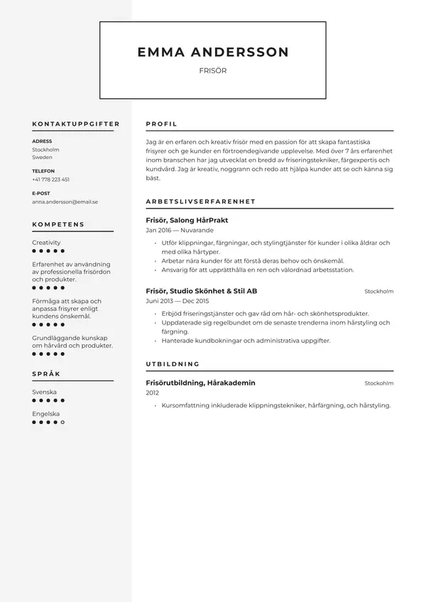 Frisor CV-pohja — Tyyli 6