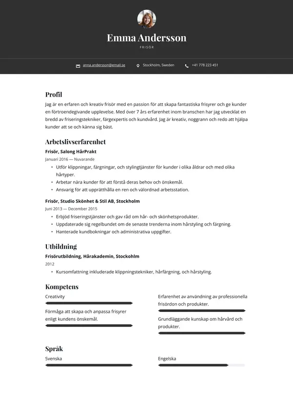 Frisor CV-pohja — Tyyli 9