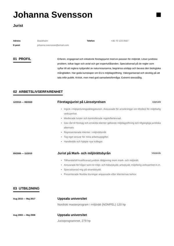 Jurist CV-pohja — Tyyli 6