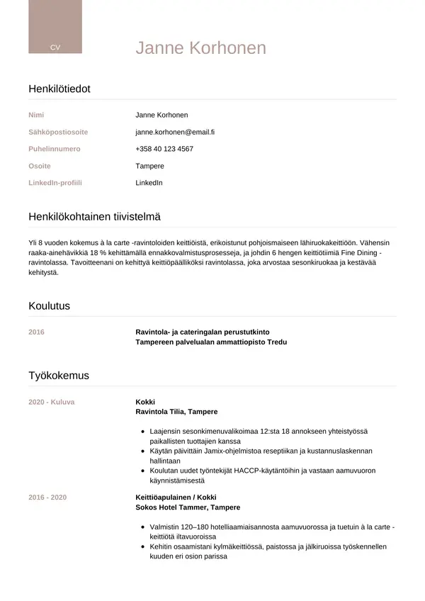 CV-pohja — Tyyli 6