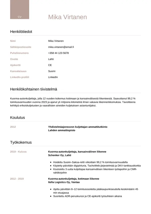 CV-pohja — Tyyli 6
