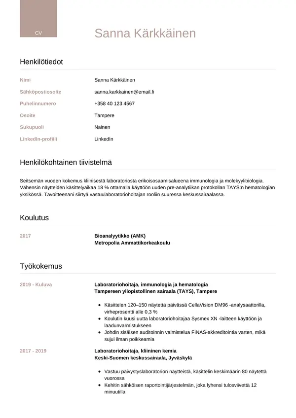 CV-pohja — Tyyli 6