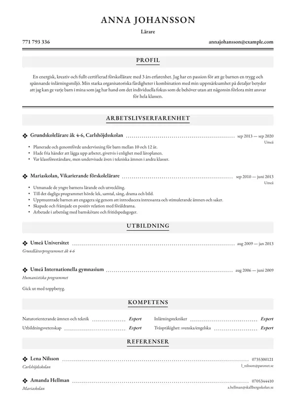 Larare CV-pohja — Tyyli 5