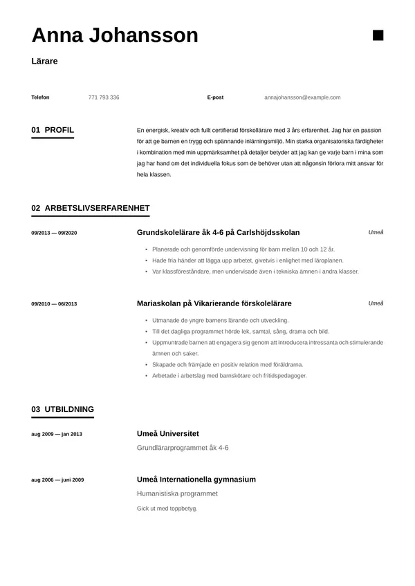 Larare CV-pohja — Tyyli 6