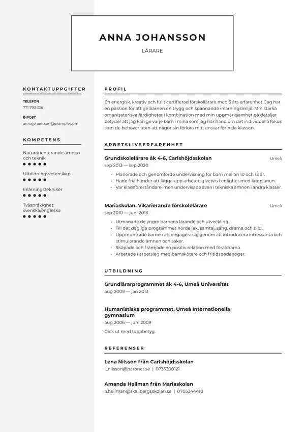 Larare CV-pohja — Tyyli 7