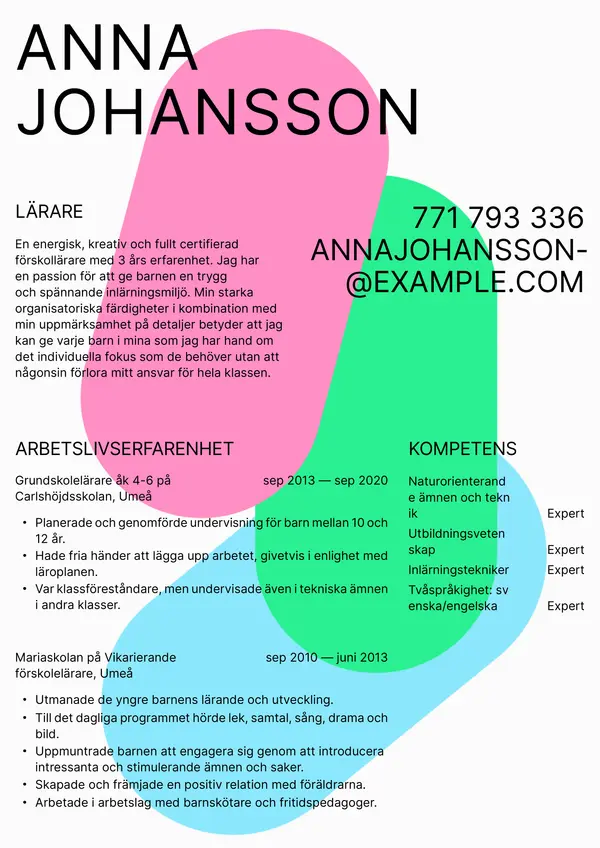 Larare CV-pohja — Tyyli 9