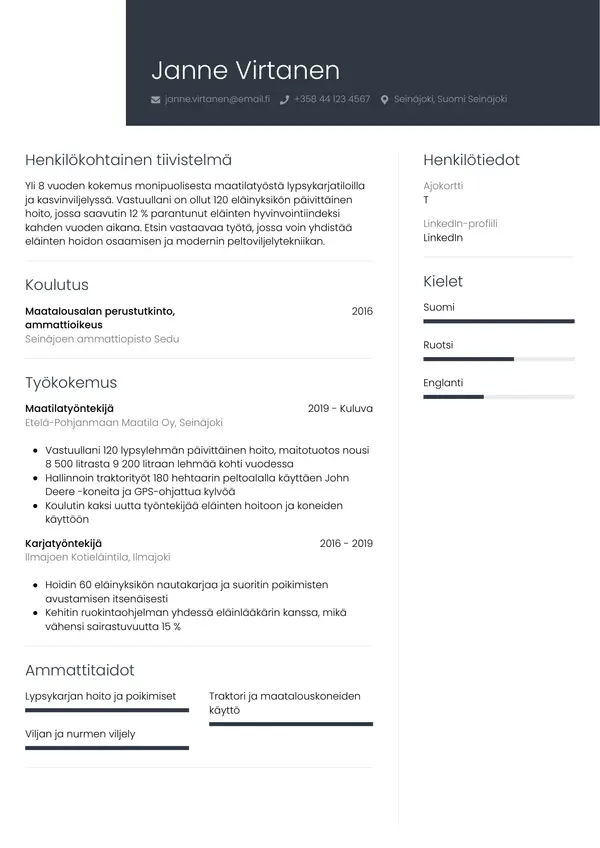 CV template Tyyli 1