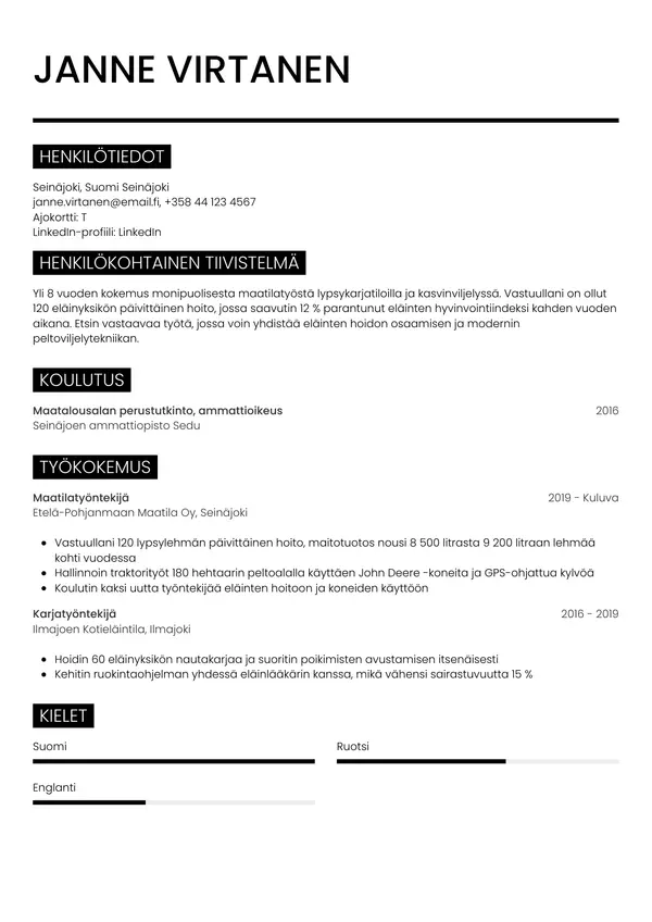 CV-pohja — Tyyli 11