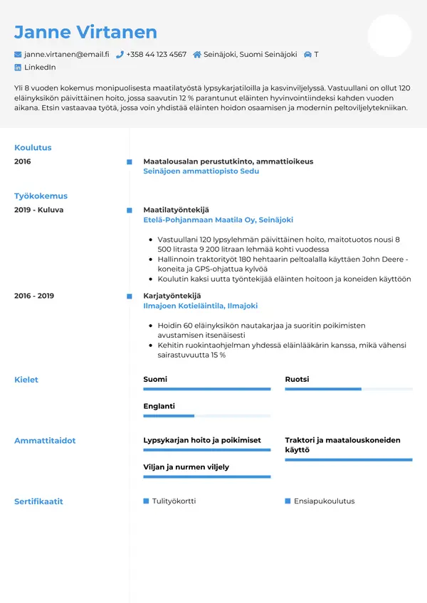 CV-pohja — Tyyli 2