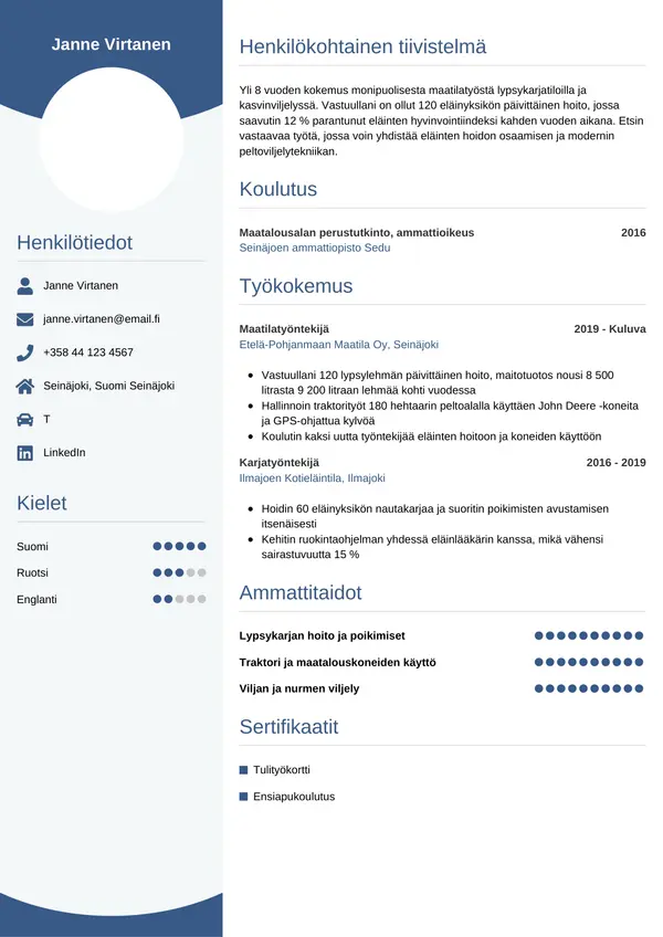 CV-pohja — Tyyli 4