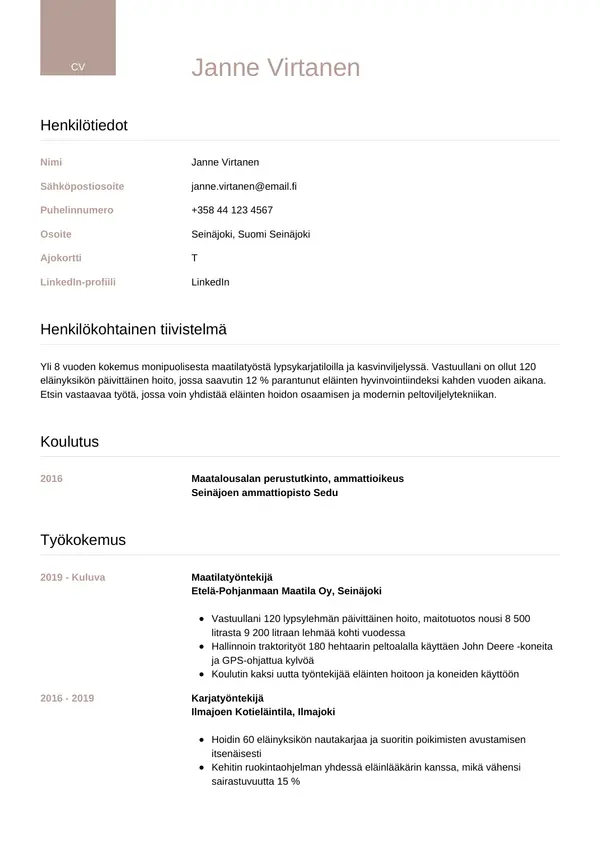 CV-pohja — Tyyli 6