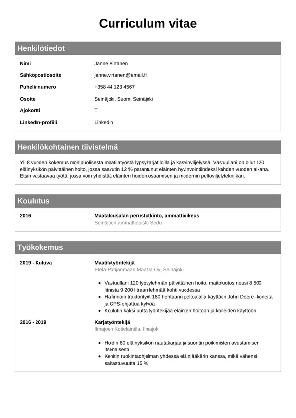CV-pohja — Tyyli 7