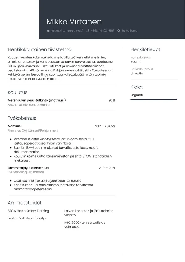 CV template Tyyli 1