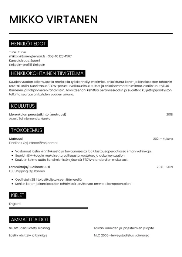 CV-pohja — Tyyli 11