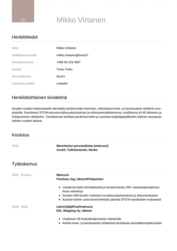CV-pohja — Tyyli 6