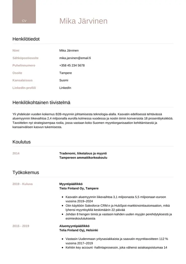 CV-pohja — Tyyli 6