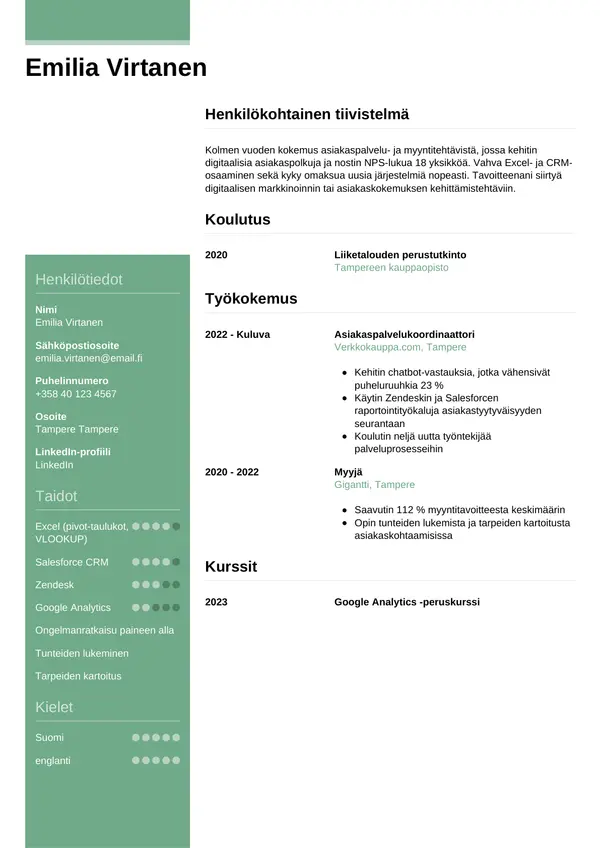 CV-pohja — Tyyli 8