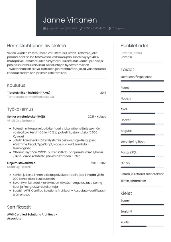 Ohjelmistokehittaja CV-pohja — Tyyli 1