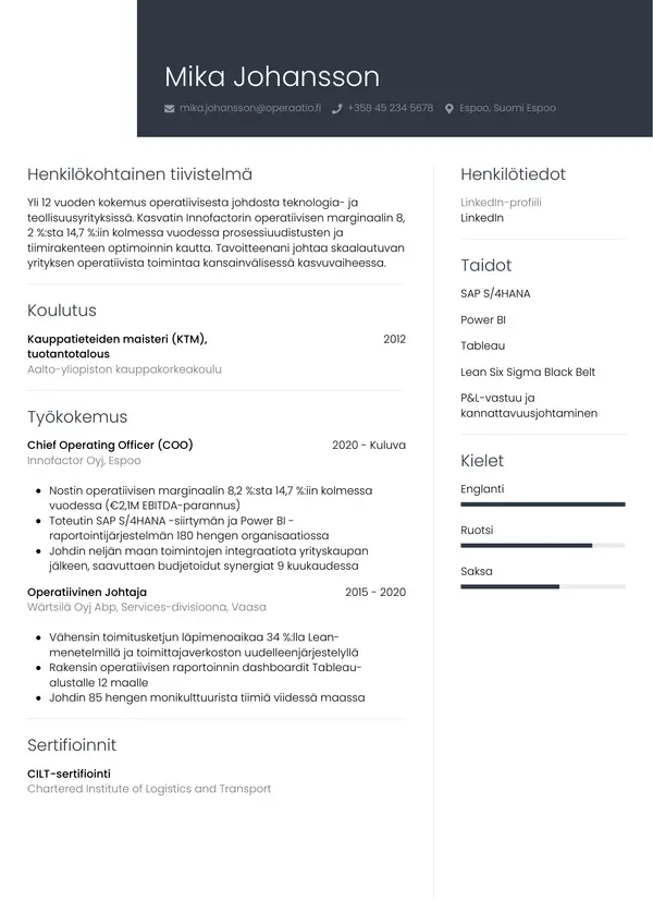 CV-pohja — Tyyli 1