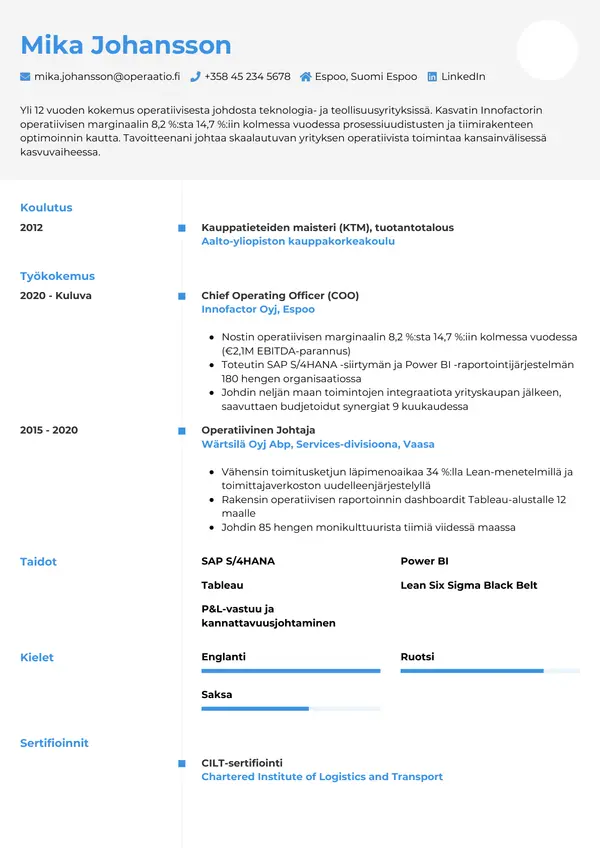 CV-pohja — Tyyli 2