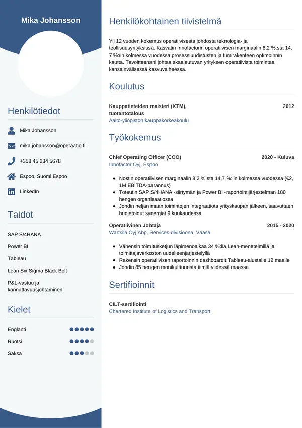 CV-pohja — Tyyli 4