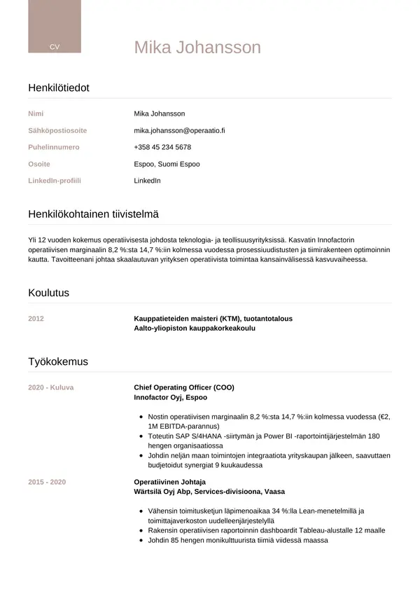 CV-pohja — Tyyli 6