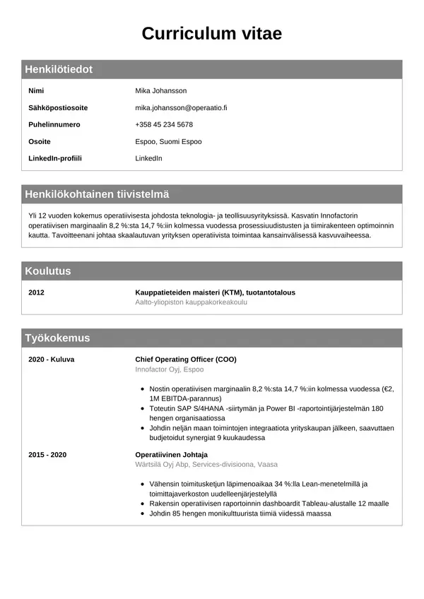 CV-pohja — Tyyli 7